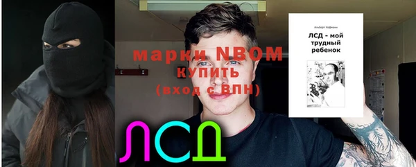 ECSTASY Гусь-Хрустальный