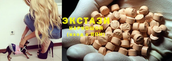 ECSTASY Гусь-Хрустальный