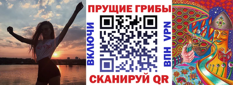 Купить закладки Железноводск Псилоцибиновые грибы Psilocybe