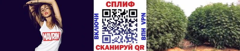 Купить где  Железноводск  МАРИХУАНА Bruce Banner 